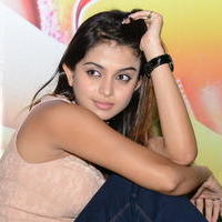 Sheena Shahabadi at Nuvve Naa Bangaram First Look Release Photos | Picture 599583